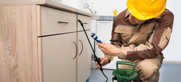 home inspection memphis tn home inspection memphis tn, memphis home inspectors, home inspector memphis tn, memphis tn home inspector, memphis home inspector, In House Inspection LLC