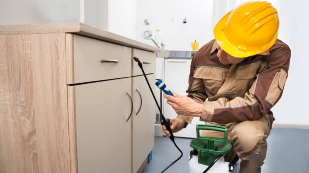 home inspection memphis tn home inspection memphis tn, memphis home inspectors, home inspector memphis tn, memphis tn home inspector, memphis home inspector, In House Inspection LLC