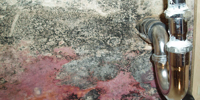 Do I Need a Home Inspection Do I Need a Home Inspection