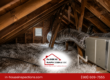 Attic insulation and HVAC ductwork inspection